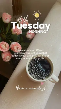 Hello Tuesday ❤️