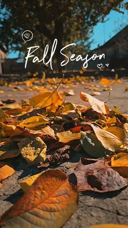 Fall Time 