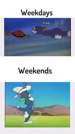 Funny memes