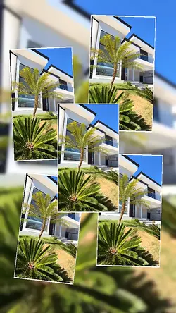 imóveis divulgação 