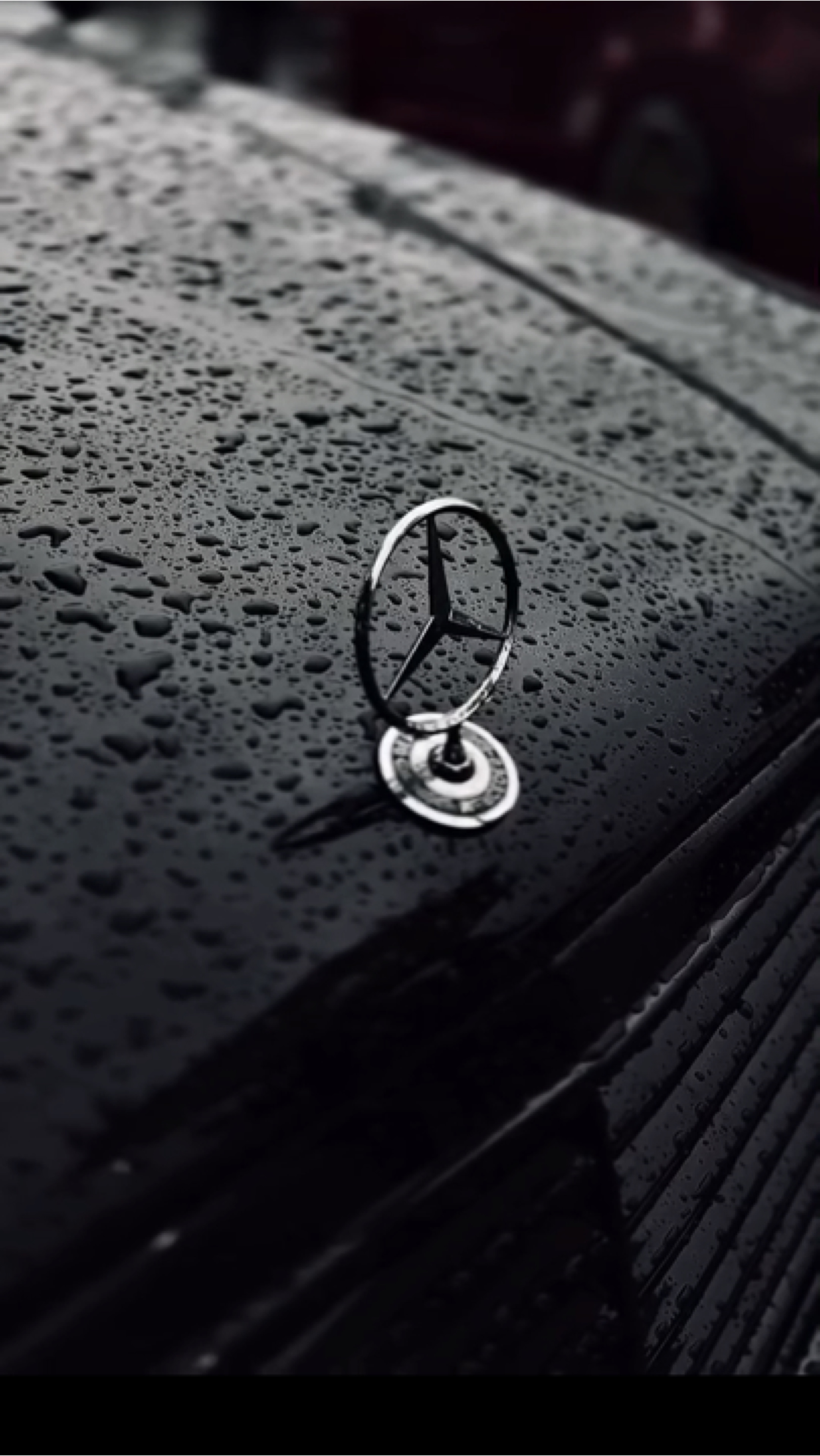 Mercedes Benz 🏁