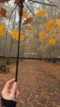 autumn 