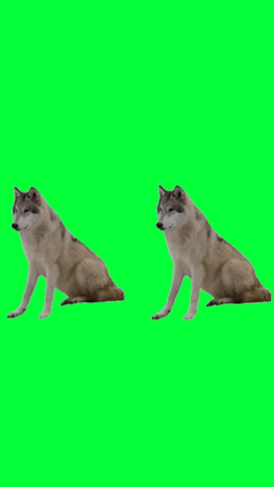 if you dance wolf