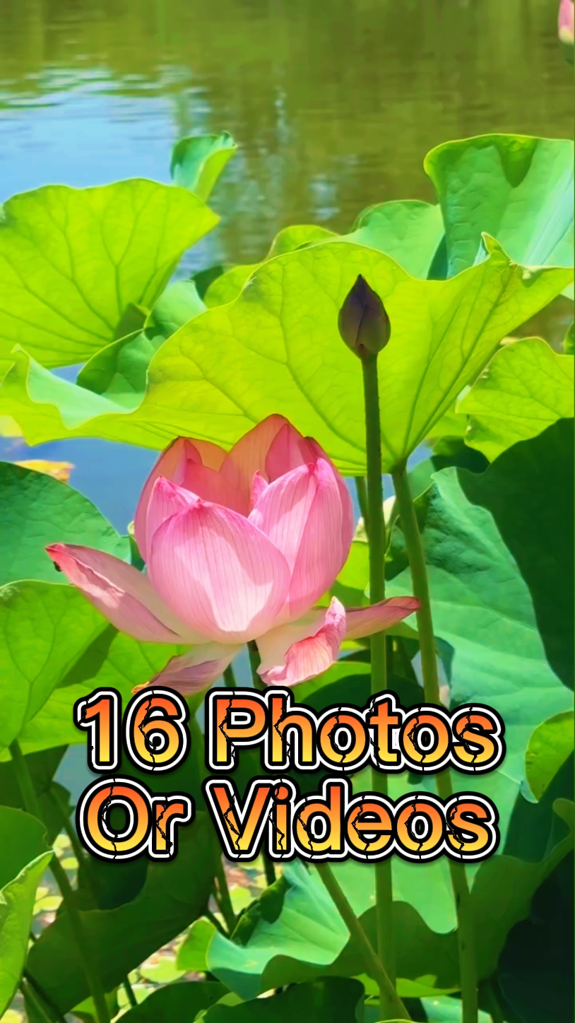 16 Photo Slides