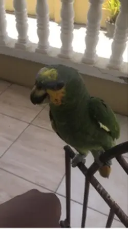 Pets🥹
