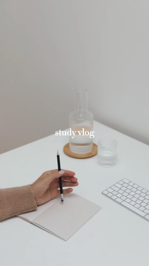 study vlog 
