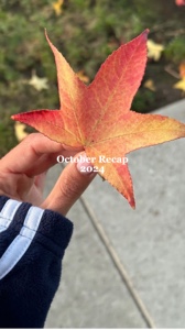 Resumen de octubre