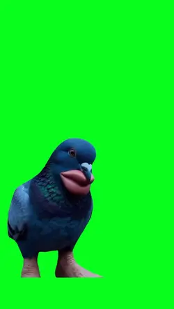 Hey Tom Poop Today