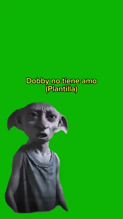 Dobby no tiene amo