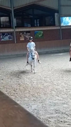 Keine tierquälerei