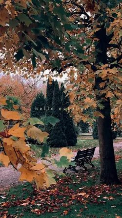Hello October 🧡