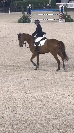 The transition🫢😍🫡