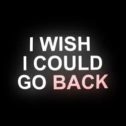 WISH I COULD GO BACK