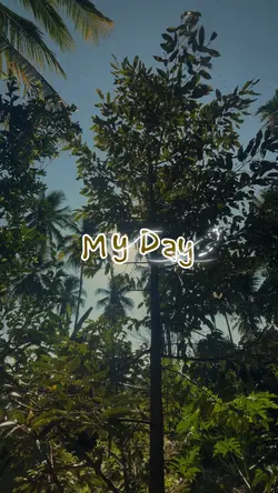 My Day Whimsical
