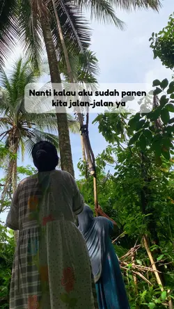 Panen kelapa