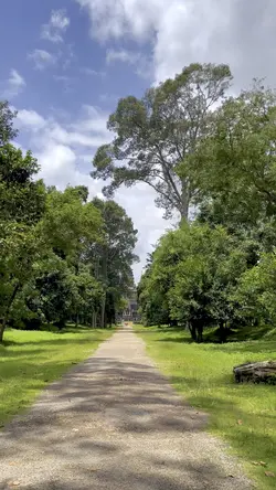 Angkor Wat Temple 🍃🤍