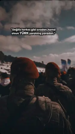 Bordo Bereliler