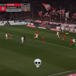 Freeze + Shake 1:1