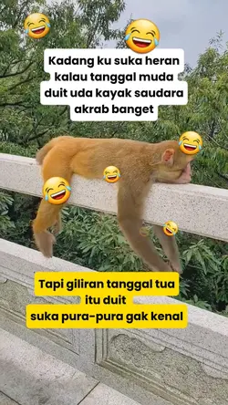 Konten Lucu