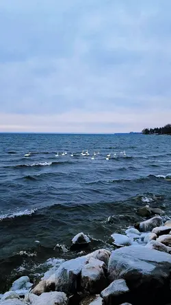 Mini Vlog 734