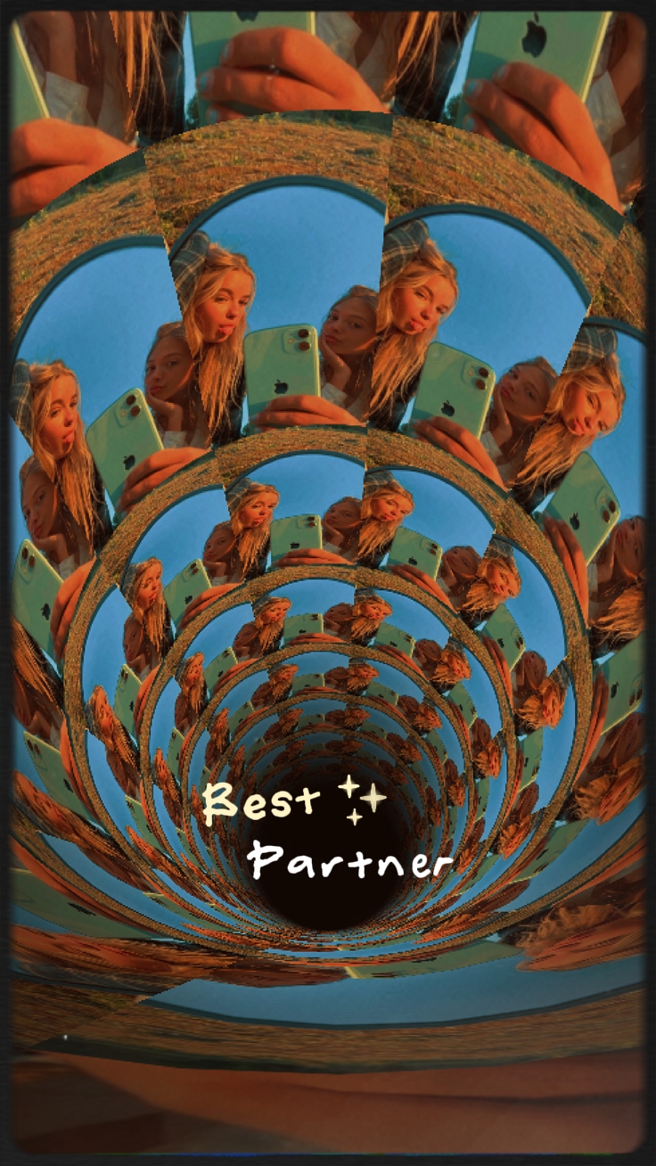 Mejor compañero