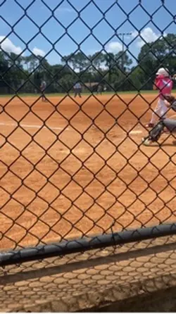 baseball clips
