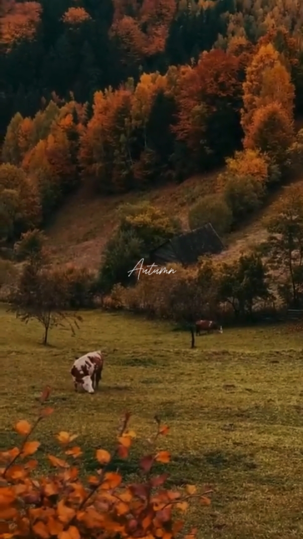 autumn 2025