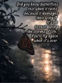 Storm