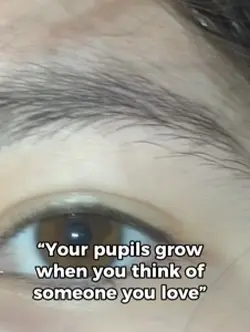 <33