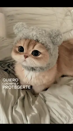 Mascotas.