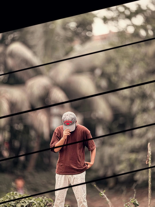 Cover Picture