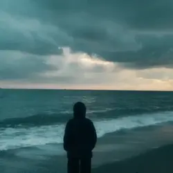 6 videos/6 photo