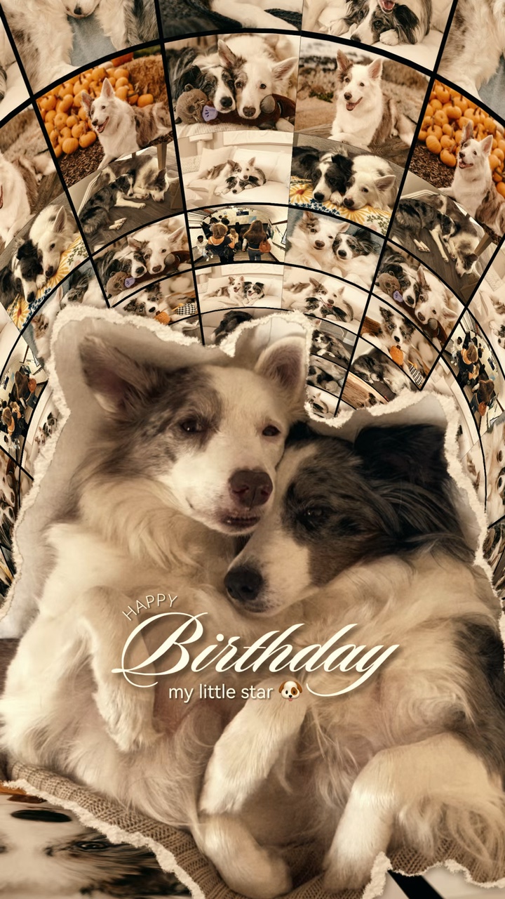 Dog Birthday ❤️🐶🐾
