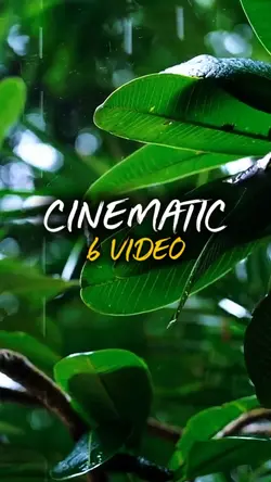 6 Video Cinematic