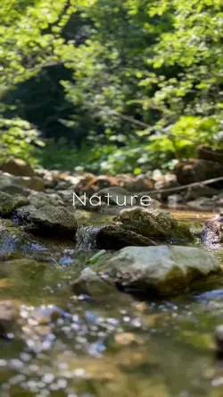 Nature 