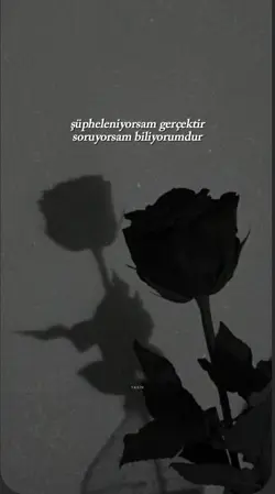 biliyorum 