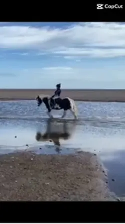 Water pony