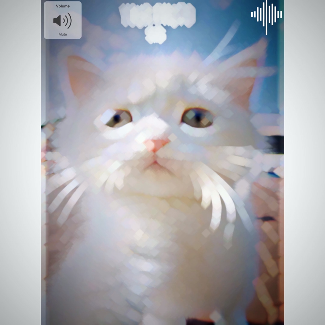 ស្រលាញ់គេតែម្នាក់ឯង តួរង 🥰❤️😭