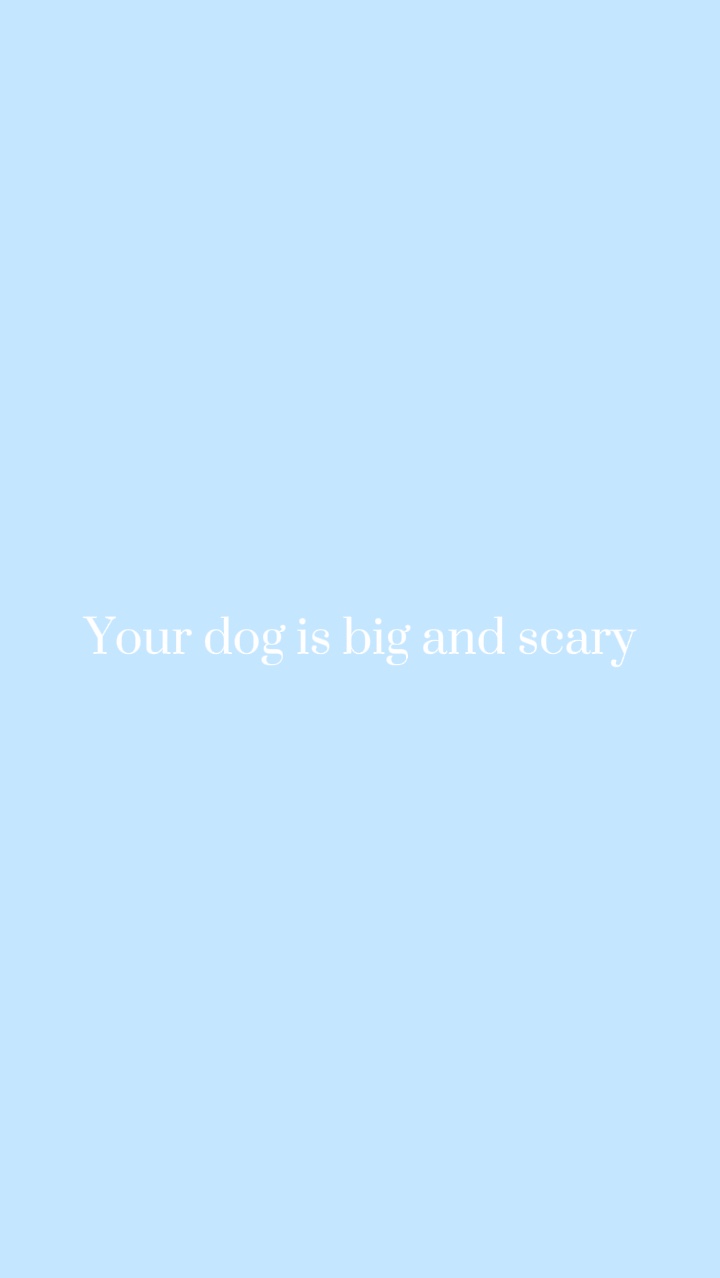 Ihr Hund
