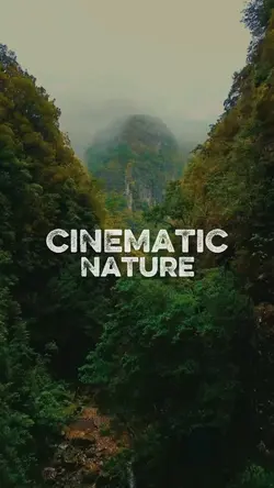 Nature Cinematic