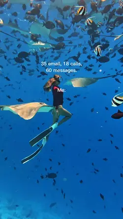 35 email, 18 calls