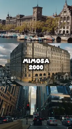 Mimosa 2000 cinema