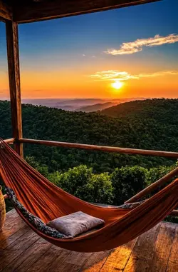 Hammock Sunset