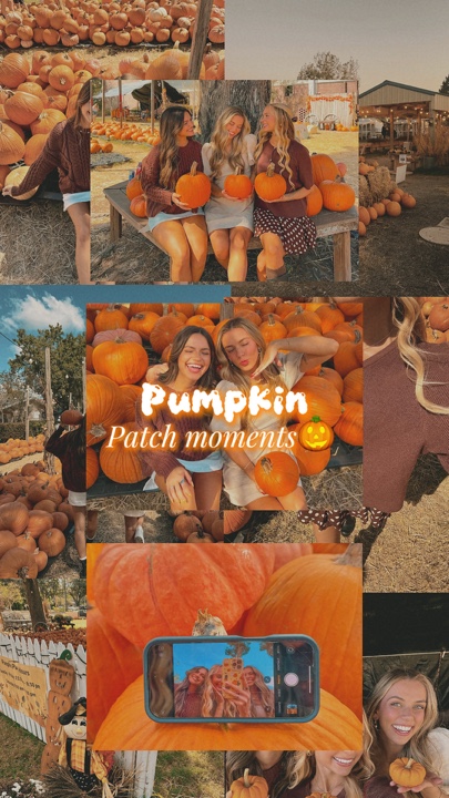 Parche de calabaza