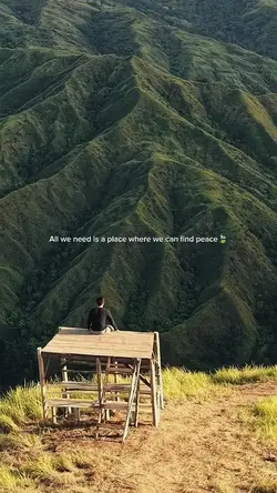 Peace of mind 