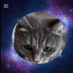 プロフィールフレーム