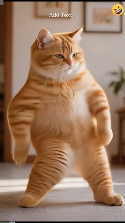 Cute Cat. 