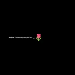 bugün doğum günüm