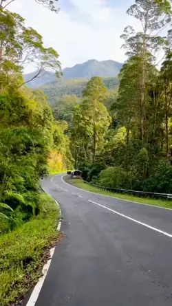 indak kadiganti 