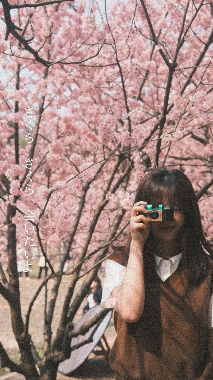 Sakura aitaiyo